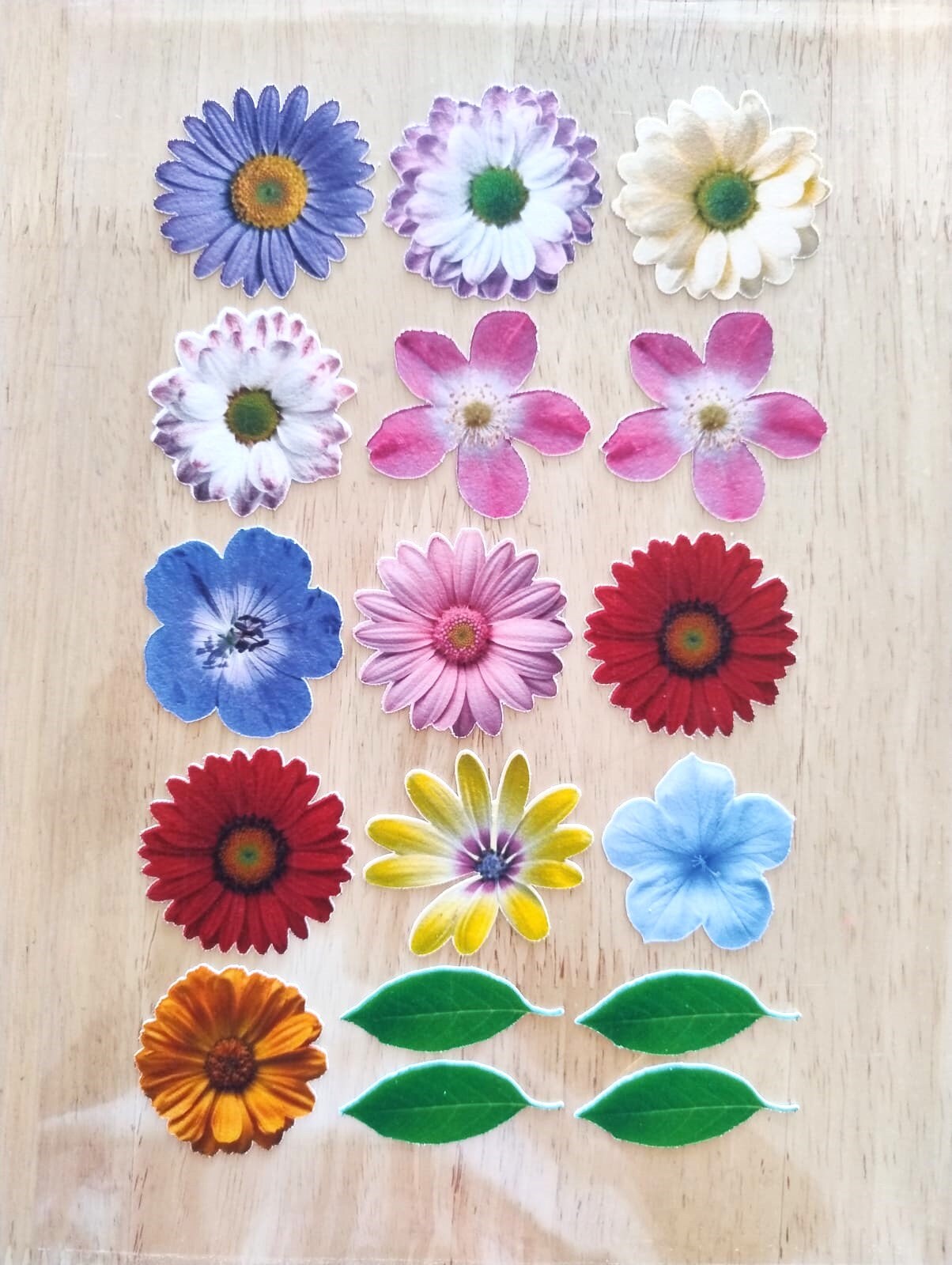 Mixed Edible Flowers Cake Decoration Baking Cookies Cupcakes Decorating Floral Cake Embellishments birthday cake trend RISE PAPER